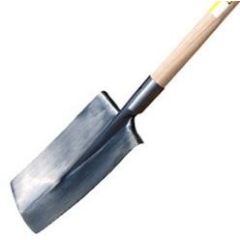 BECHE STD POLI DVT PO 465229