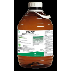 EVADE 5 LT