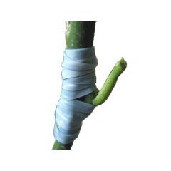 BANDELETTE FLEX