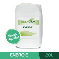 NUTRIVERT ENERGIE LIQUIDE