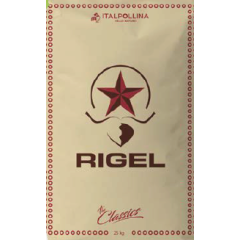 RIGEL 25KG