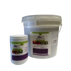 SCUTELLO DF 500GR