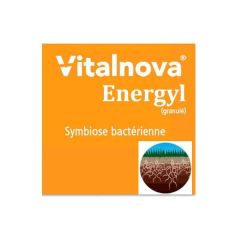VITALNOVA ENERGYL 25KG 