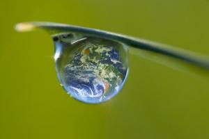 La Gestion de l'Eau en Espaces Verts