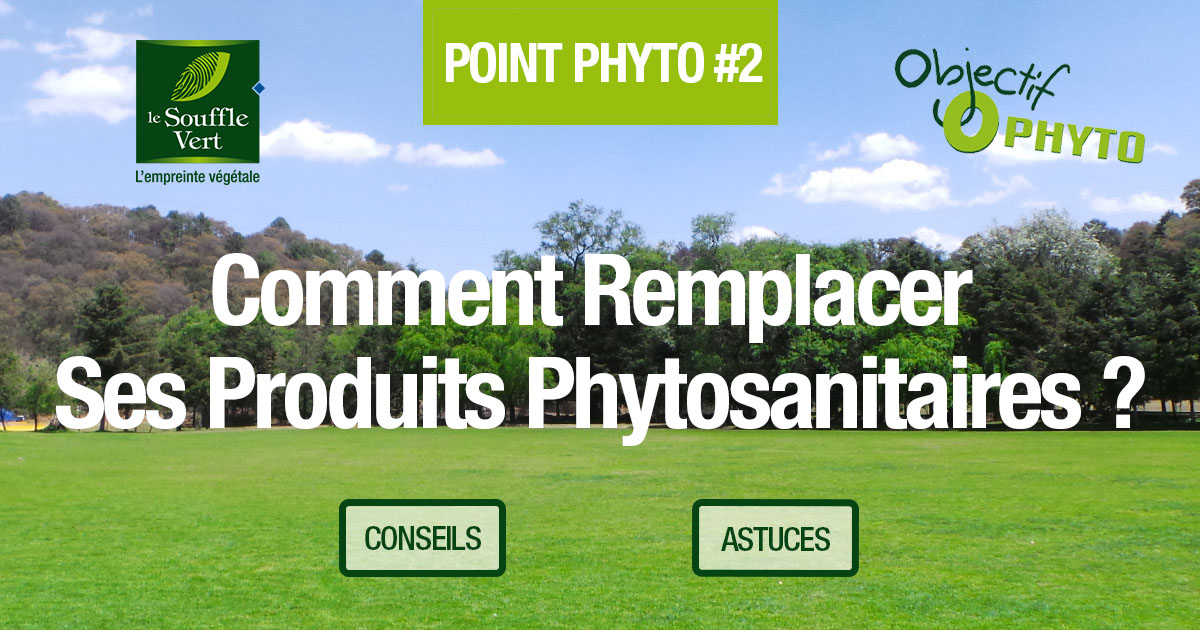 Comment remplacer vos produits phytosanitaires ?