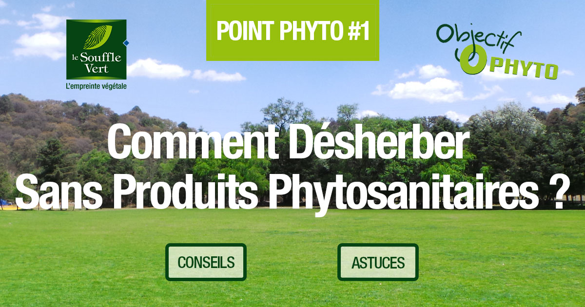 Comment désherber sans produits phytosanitaires ?