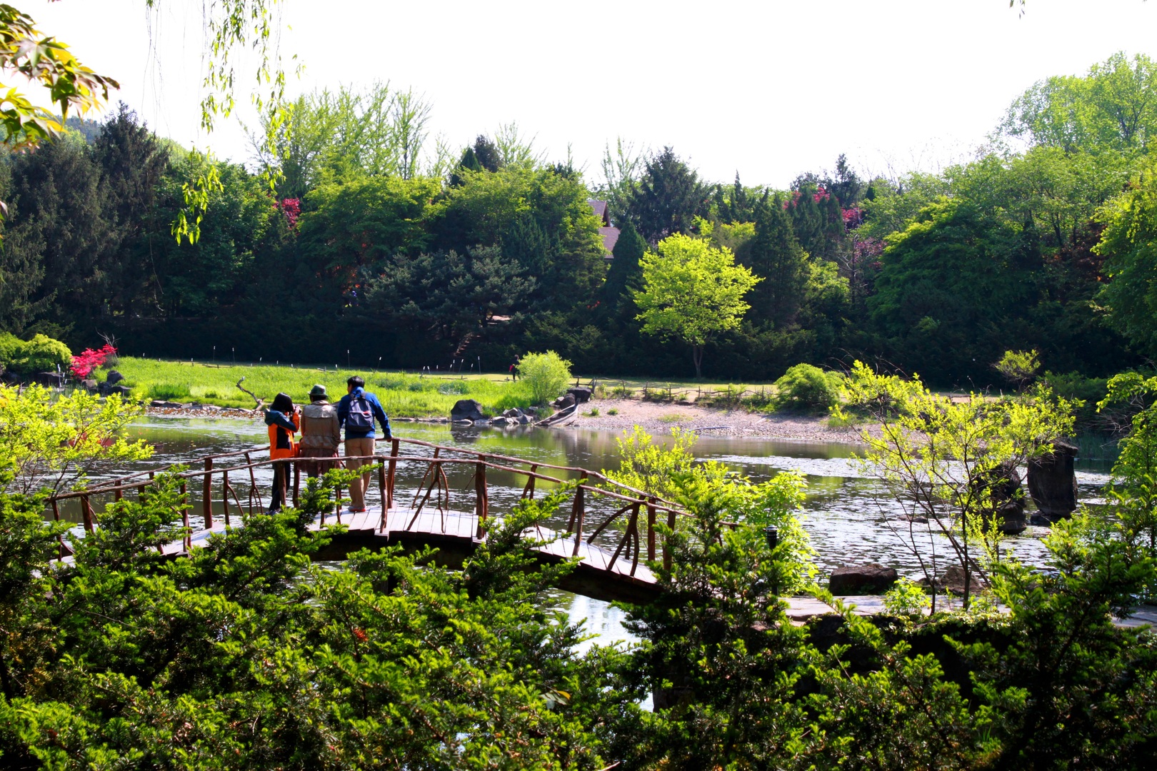 Gestion de l'eau paysage